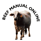 Beef Online Manual